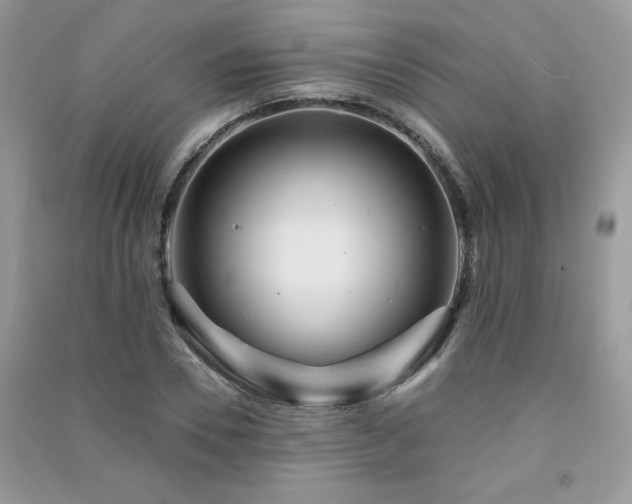 X0000091290930200708101243