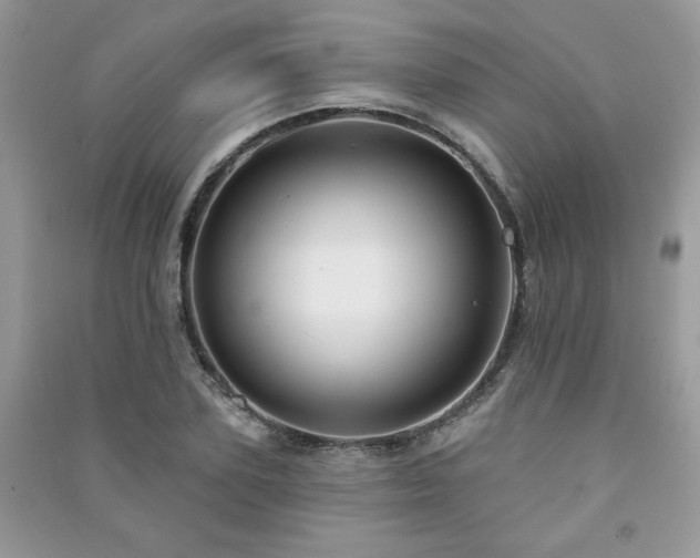 X0000091290931200708101243