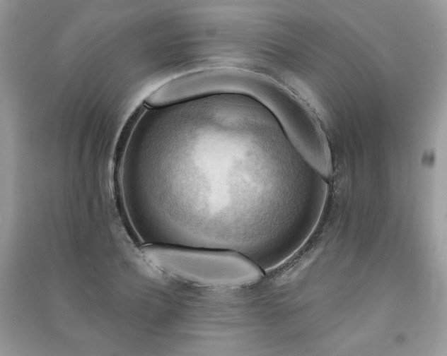 X0000091290932200708101243