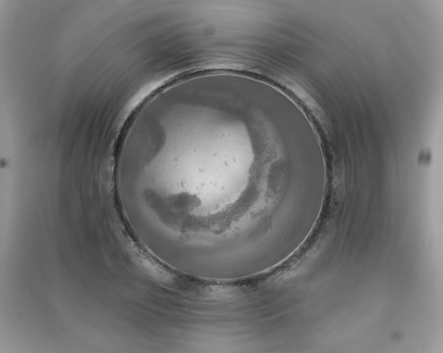 X0000091290933200708101243