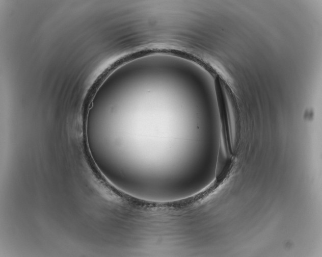 X0000091290934200708101243