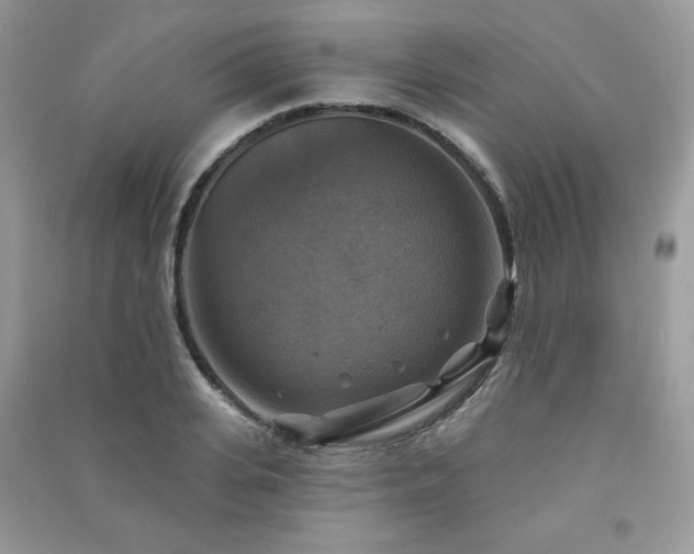 X0000091290935200708101243