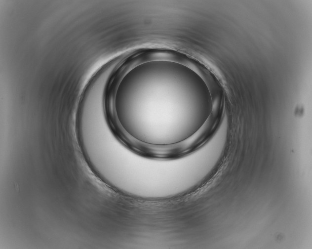 X0000091290936200708101243