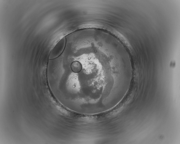 X0000091290937200708101243