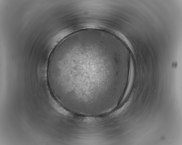 X0000091290938200708101243