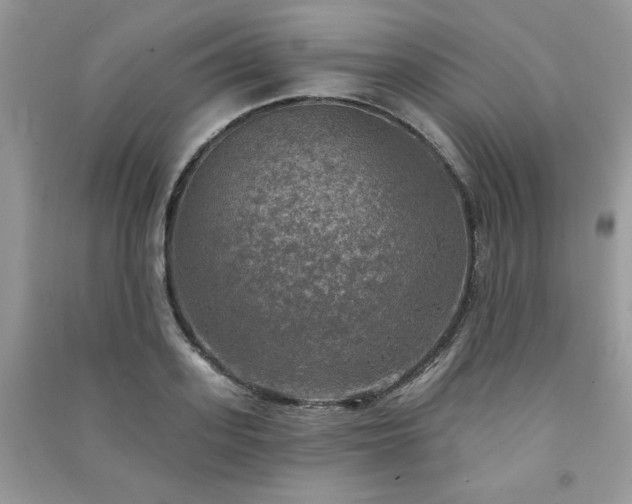 X0000091290939200708101243