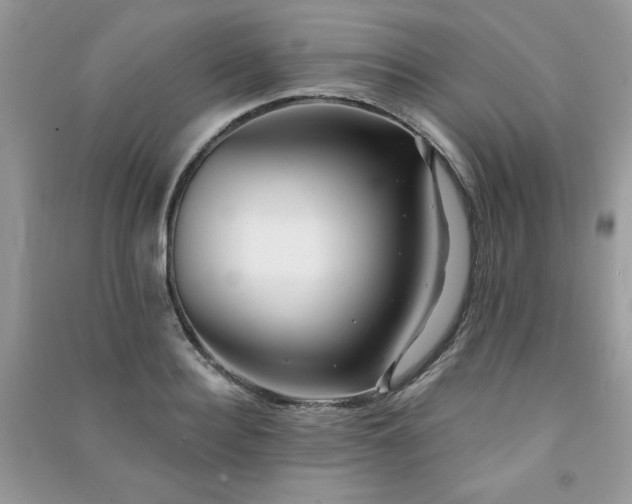 X0000091290940200708101243