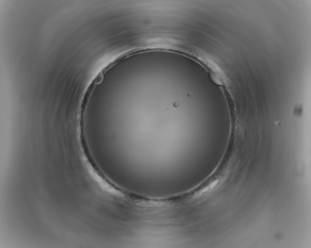 X0000091290941200708101243