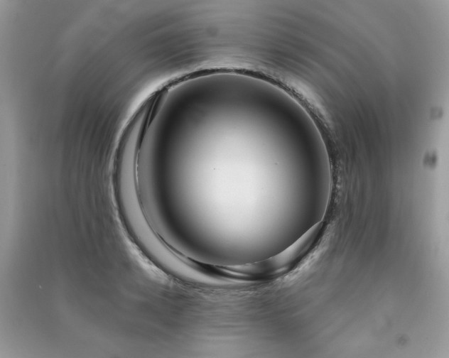 X0000091290942200708101243