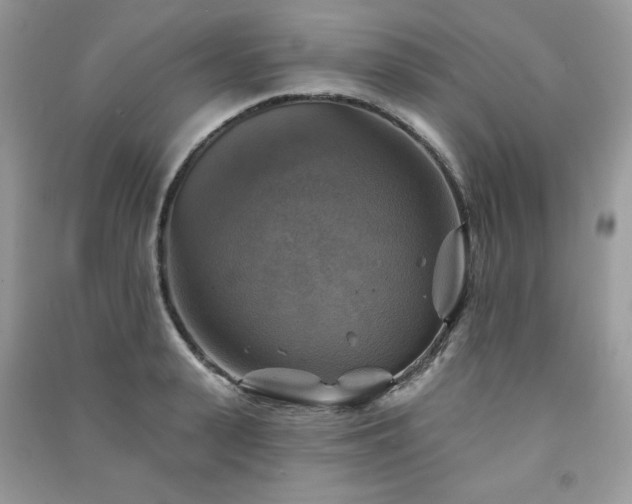 X0000091290943200708101243