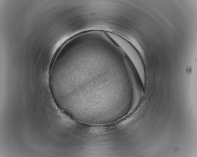 X0000091290944200708101243