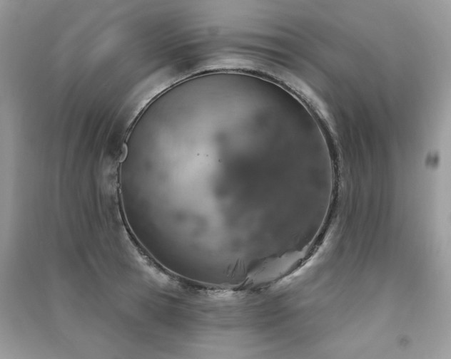 X0000091290945200708101243