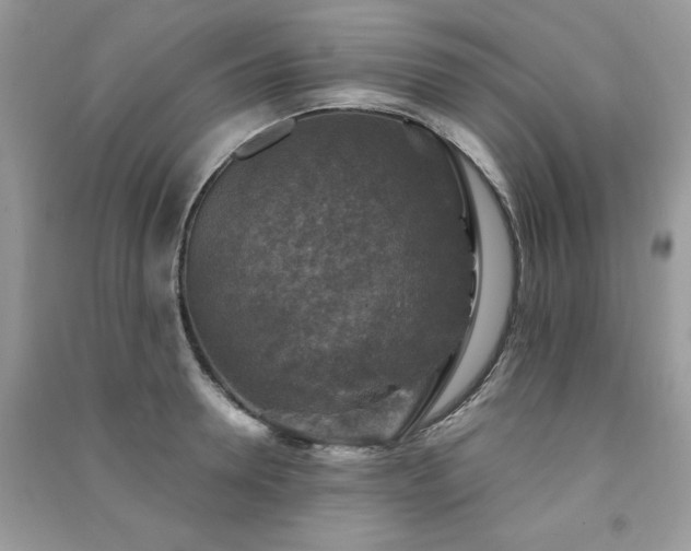 X0000091290946200708101243