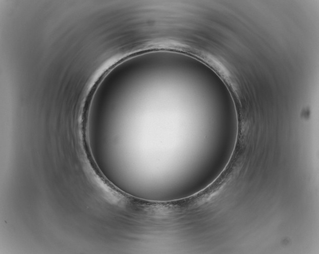 X0000091290947200708101243