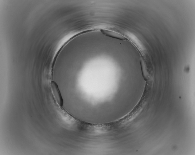 X0000091290948200708101243