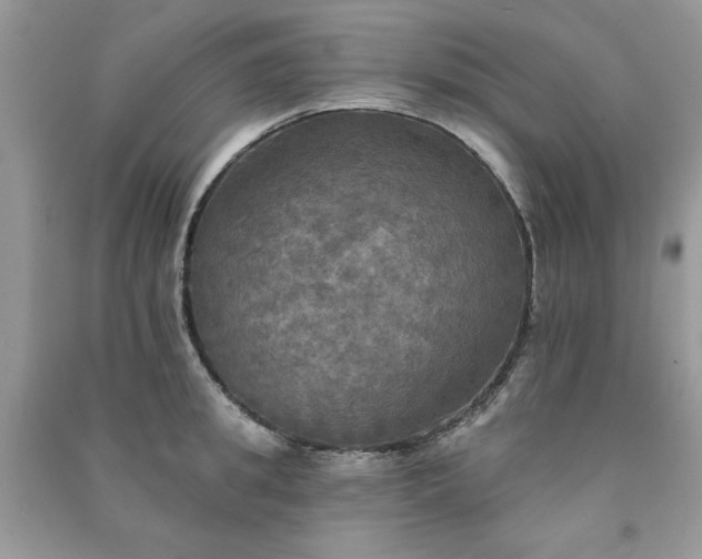 X0000091290949200708101243