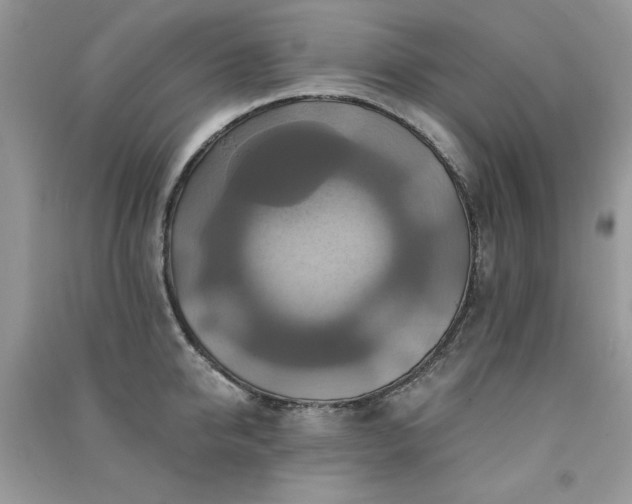 X0000091290950200708101243