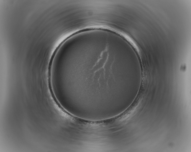 X0000091290951200708101243