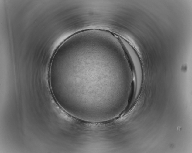 X0000091290952200708101243