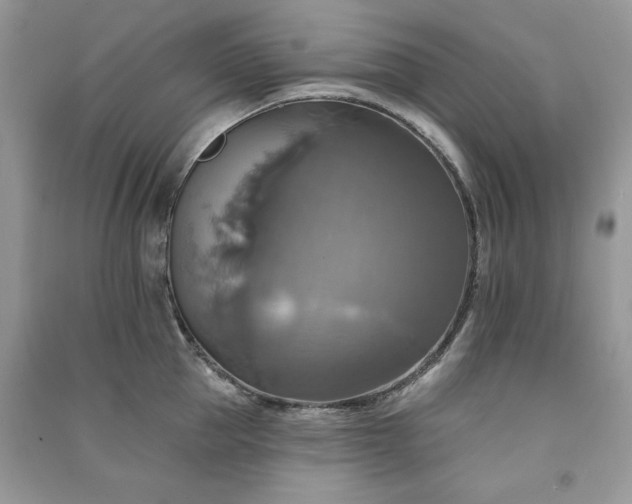 X0000091290953200708101243