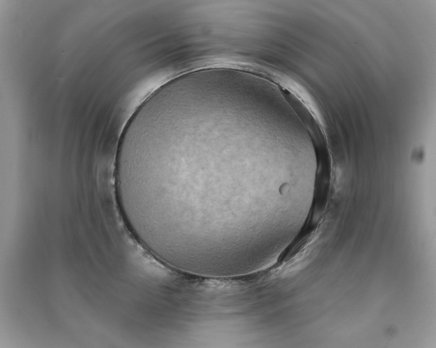 X0000091290954200708101243