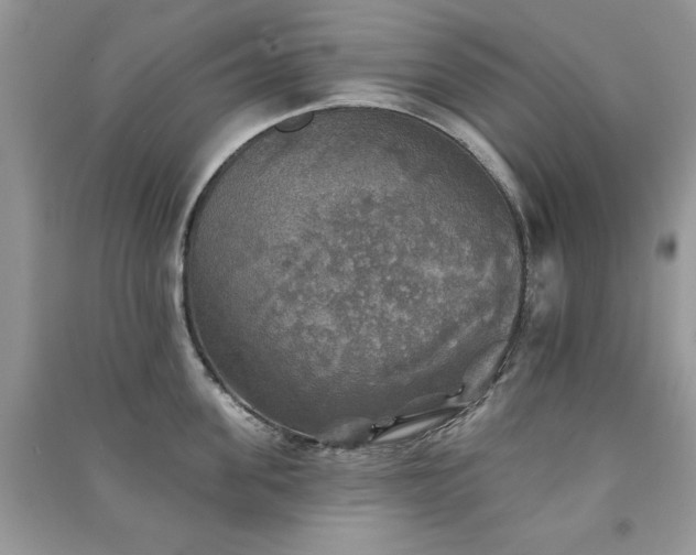 X0000091290955200708101243