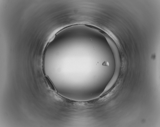 X0000091290956200708101243