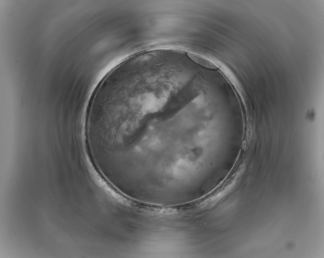 X0000091290957200708101243