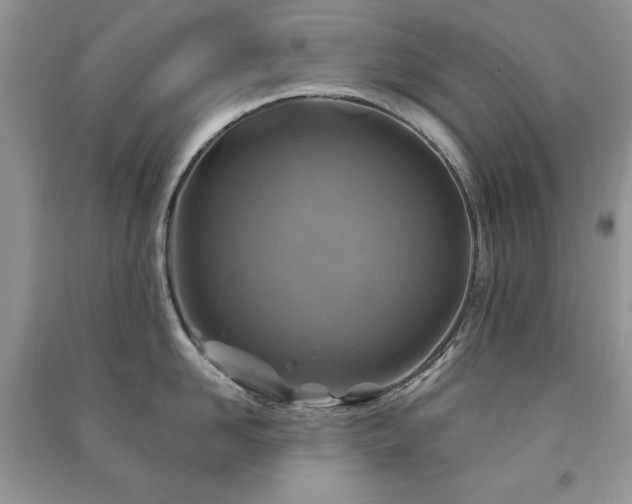 X0000091290958200708101243