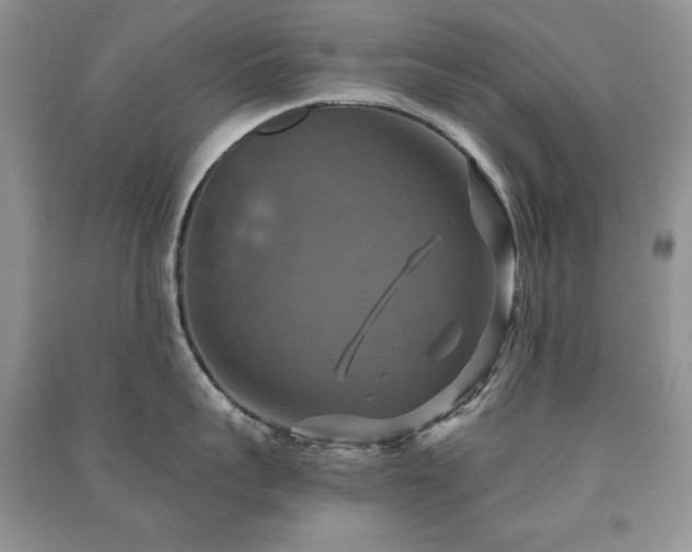 X0000091290959200708101243