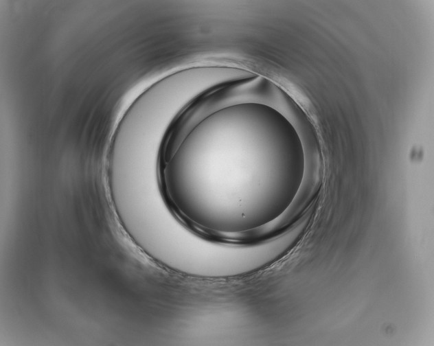 X0000091290960200708101243