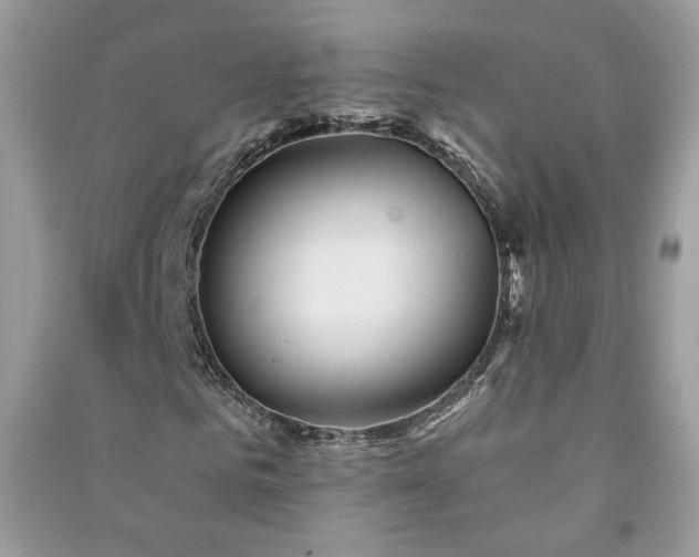 X0000091290961200708101243