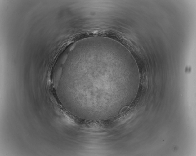 X0000091290962200708101243