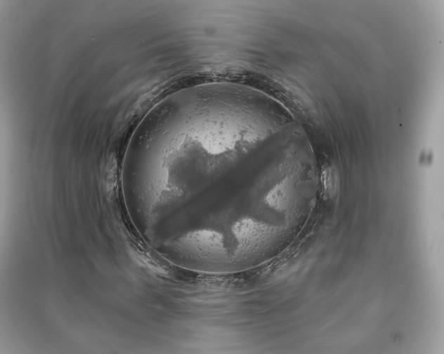 X0000091290963200708101243