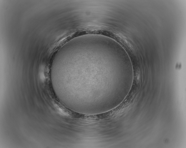 X0000091290964200708101243