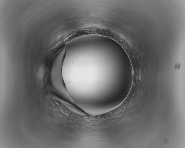 X0000091290965200708101243