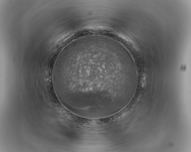 X0000091290966200708101243