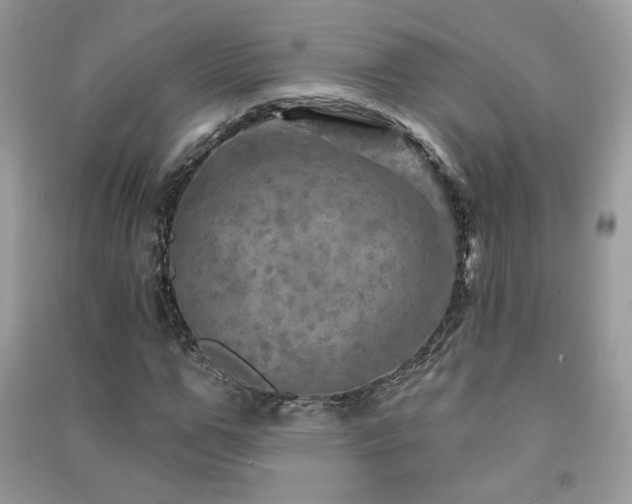 X0000091290967200708101243