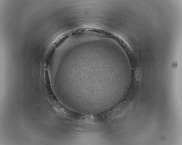 X0000091290968200708101243