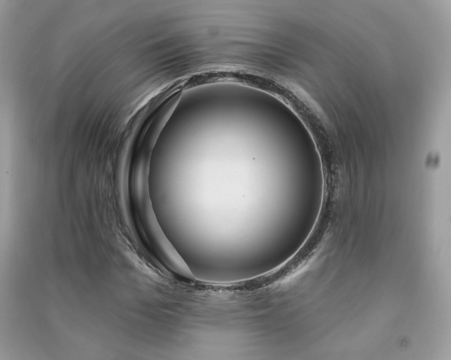 X0000091290969200708101243