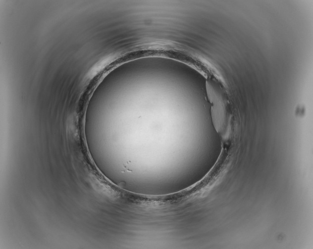 X0000091290970200708101243