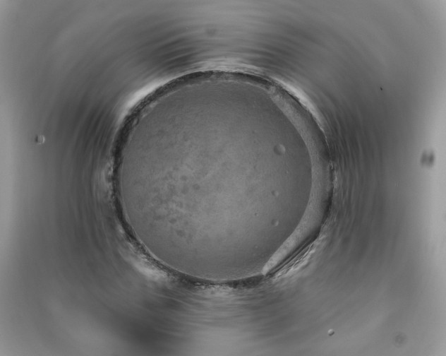 X0000091290971200708101243