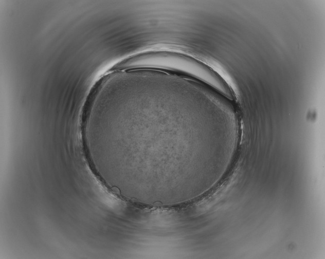 X0000091290972200708101243