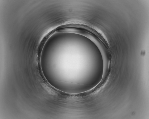 X0000091290973200708101243