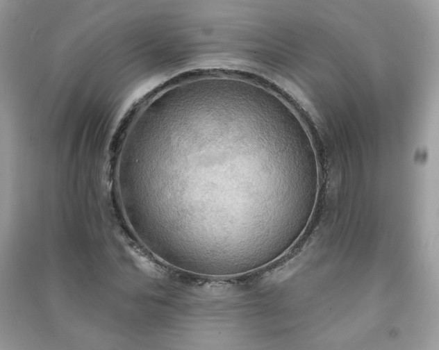 X0000091290974200708101243