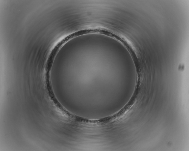 X0000091290975200708101243