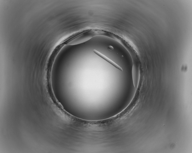 X0000091290976200708101243