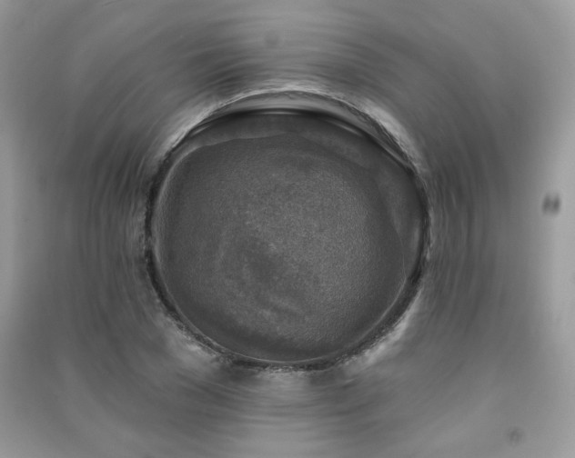 X0000091290977200708101243