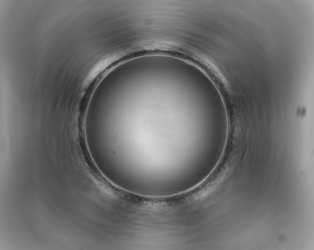 X0000091290978200708101243