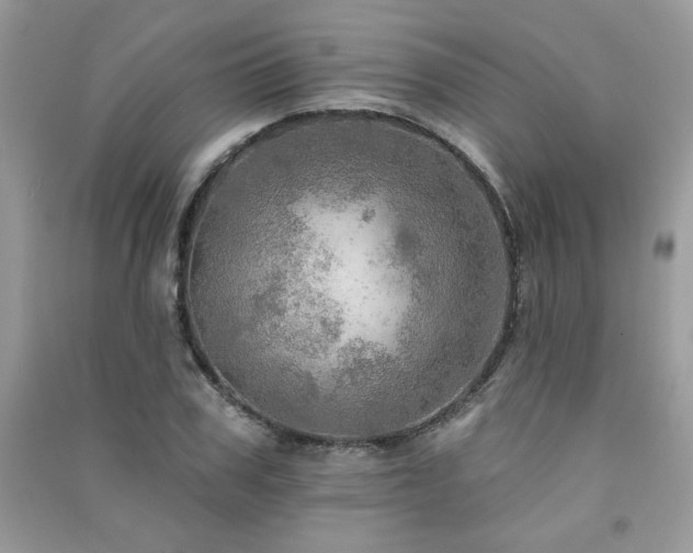 X0000091290979200708101243